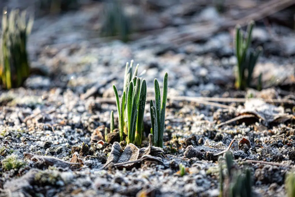 AdobeStock_564677992-1024x683